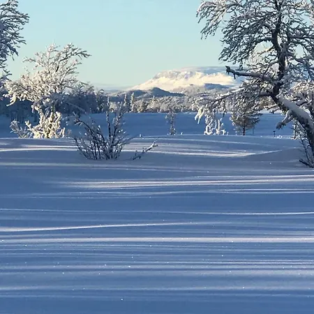 Large And Family Friendly Near Langedrag