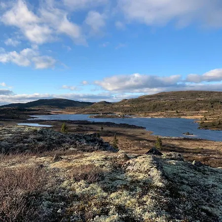 Large And Family Friendly Near Langedrag Chalet