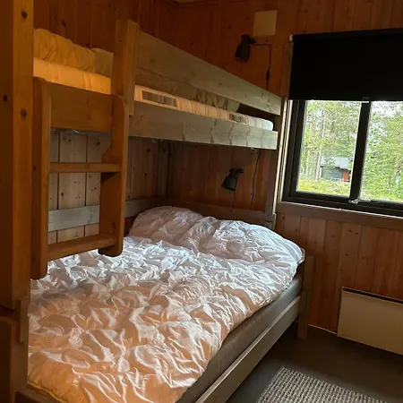 Large And Family Friendly Near Langedrag Chalet