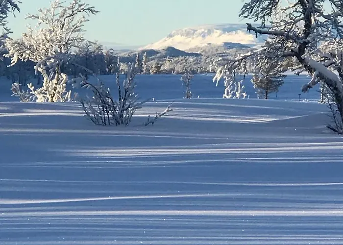 Large And Family Friendly Near Langedrag